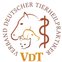vdt-logo